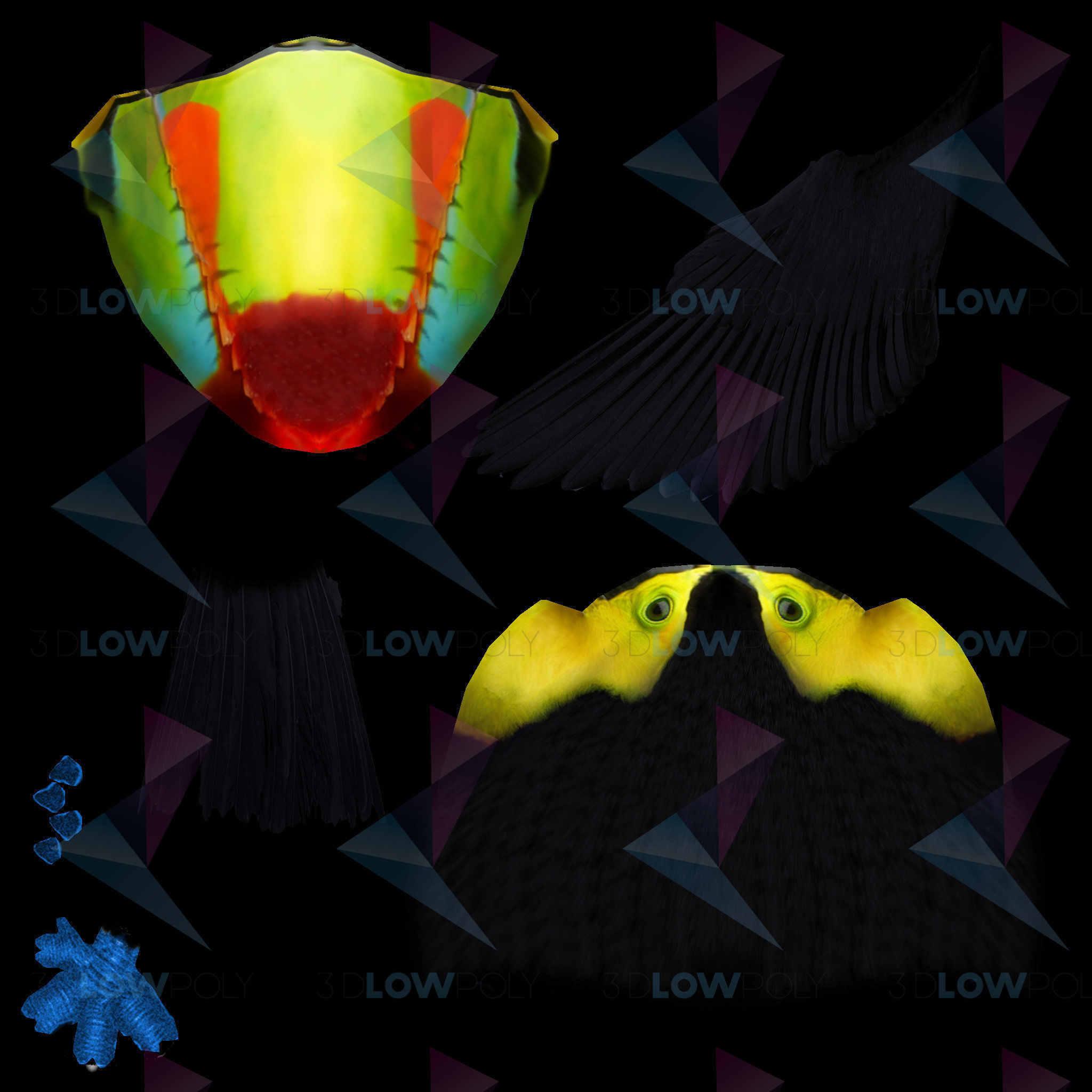 Toucan bird Low-poly 3D model_7