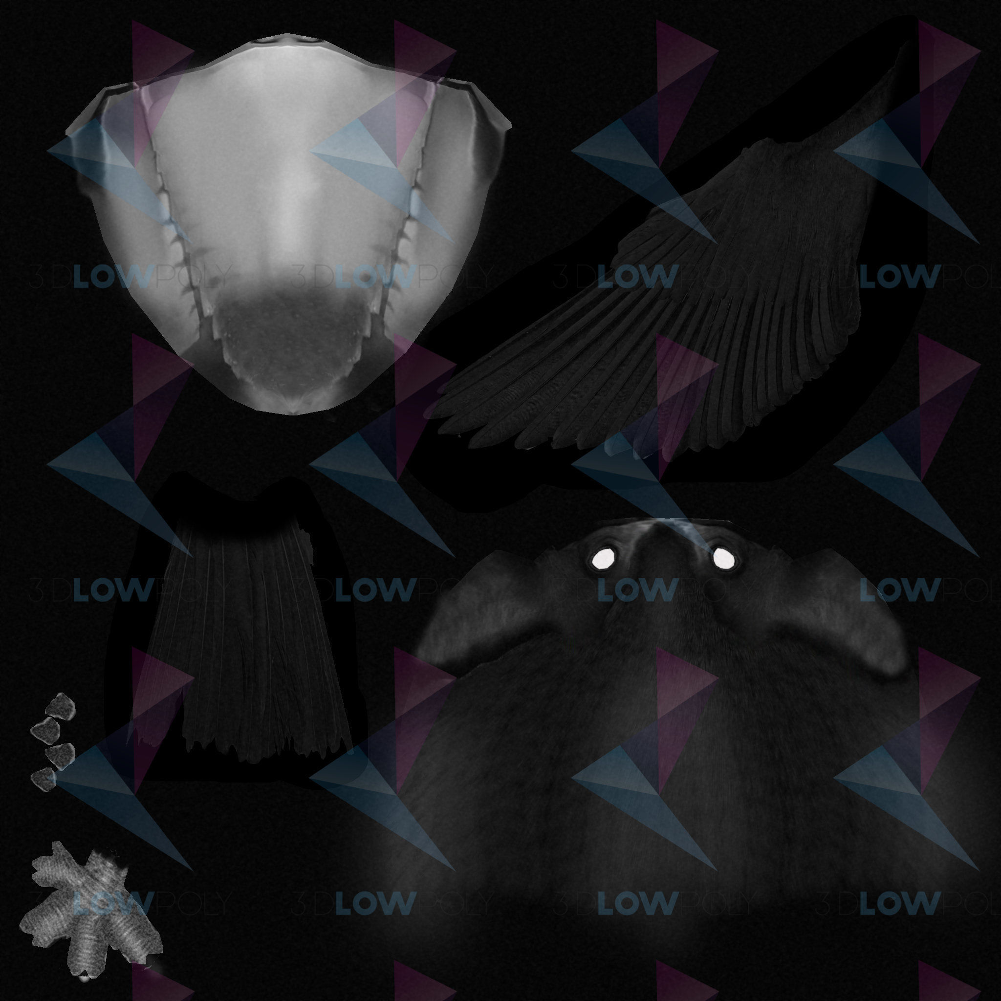 Toucan bird Low-poly 3D model_9