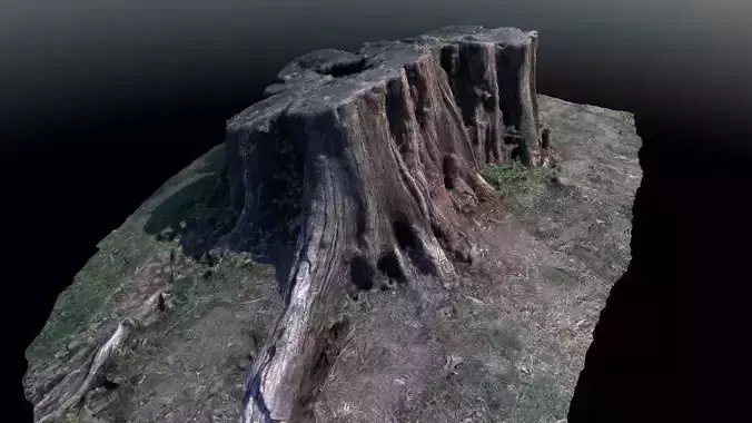 Tree Stump 1 Low-poly 3D model