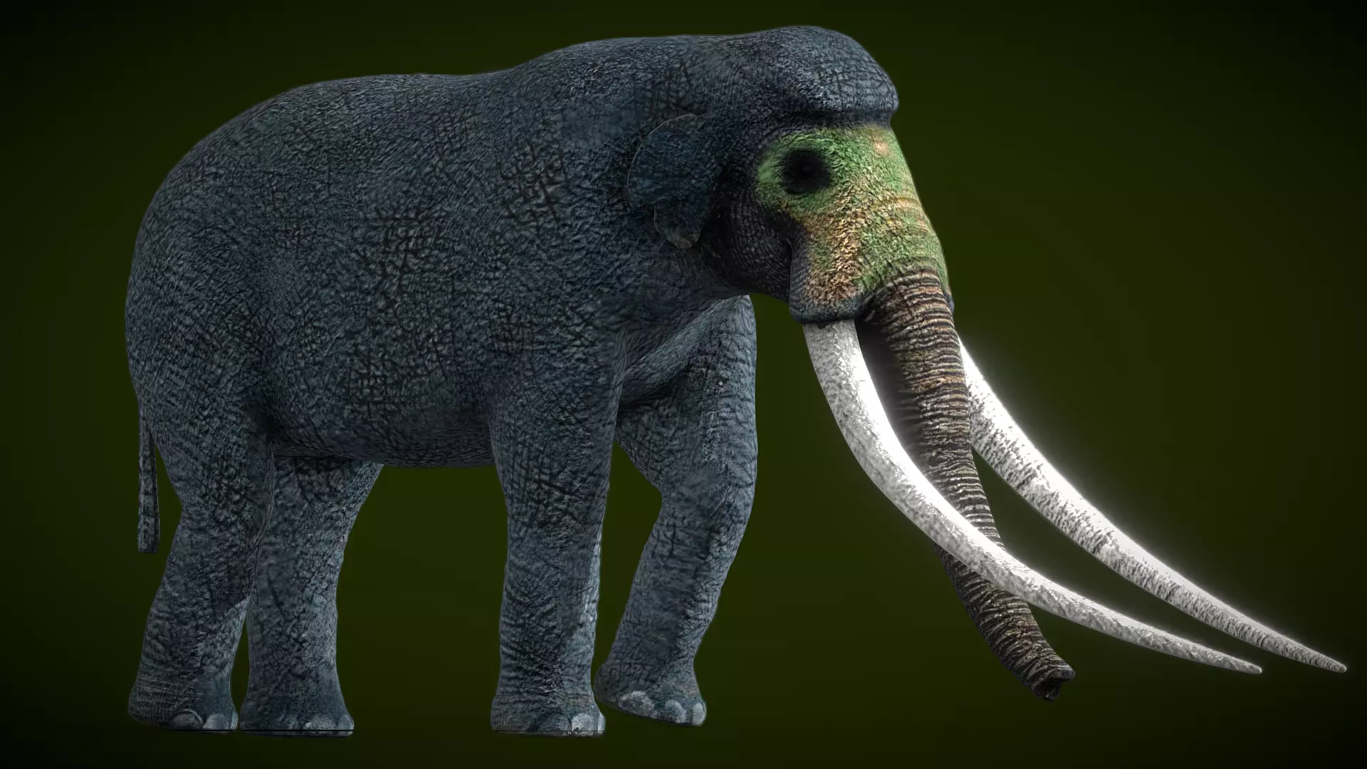 Animated Paleoloxdon Numadicus Low-poly 3D model