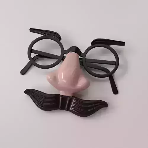 Funny Glasses 3D model