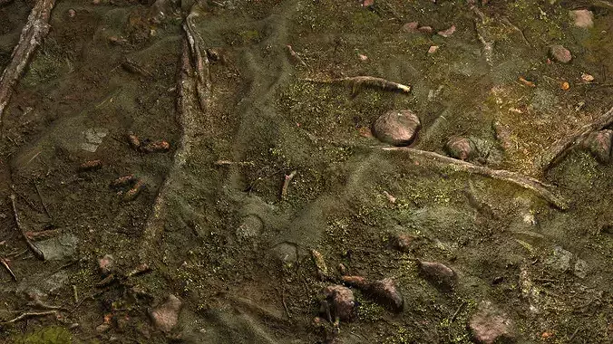Forest Floor 8K PBR Texture