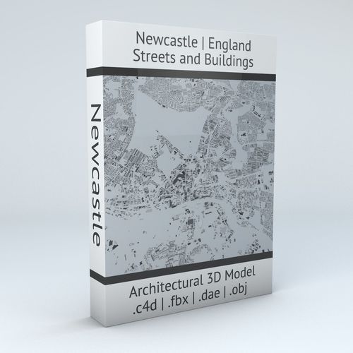 Newcastle Streets and Buildings 3D model