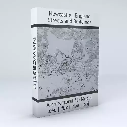 Newcastle Streets and Buildings