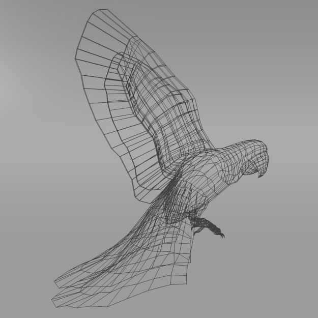 Red Macaw Low-poly 3D model_6