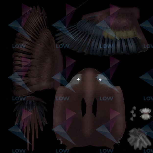 Red Macaw Low-poly 3D model_9