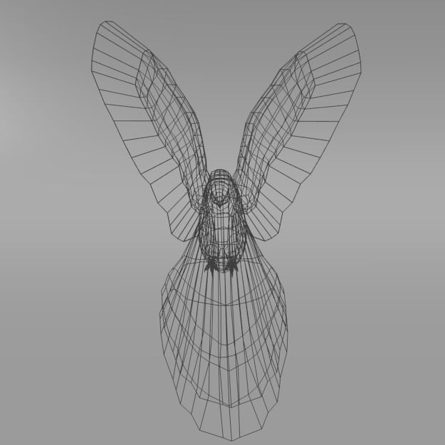 Red Macaw Low-poly 3D model_5