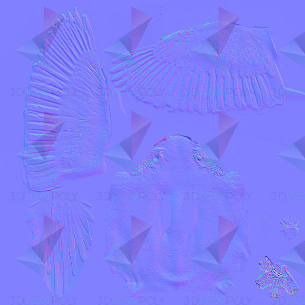 Red Macaw Low-poly 3D model_8