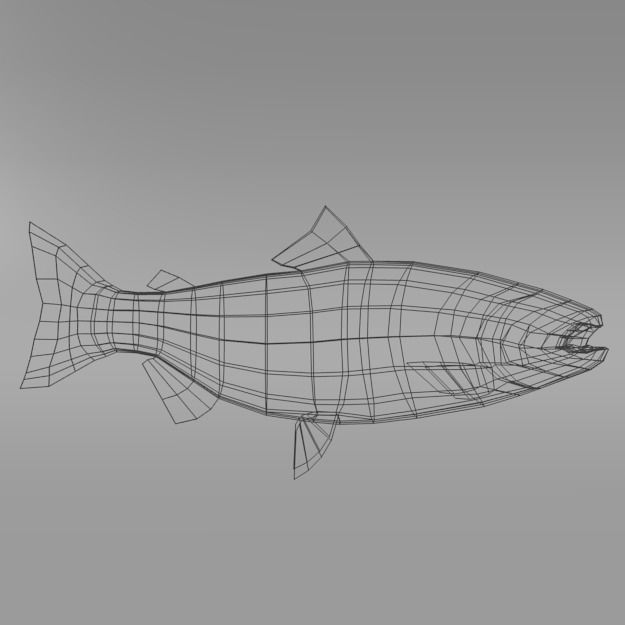 Salmon Fish Low-poly 3D model_6