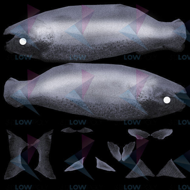 Salmon Fish Low-poly 3D model_9