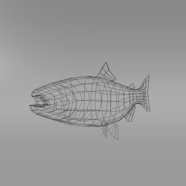 Salmon Fish Low-poly 3D model_5