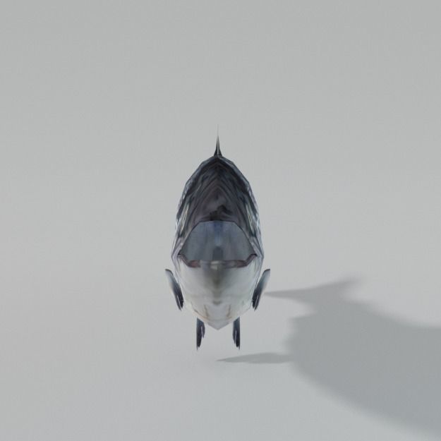 Salmon Fish Low-poly 3D model_2