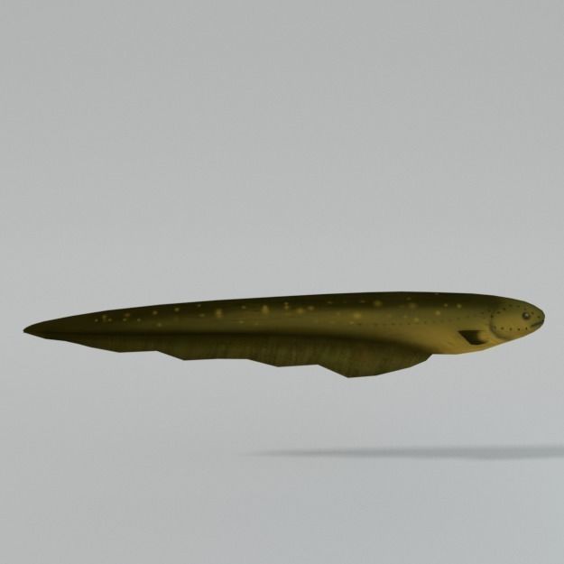 Electric Eel Low-poly 3D model_1