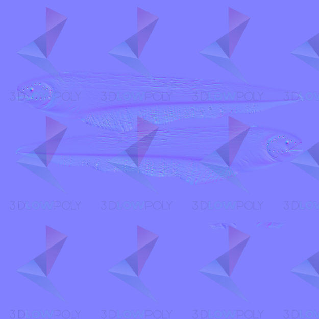 Electric Eel Low-poly 3D model_9