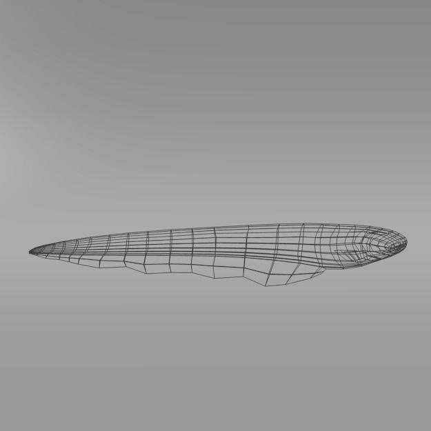 Electric Eel Low-poly 3D model_7