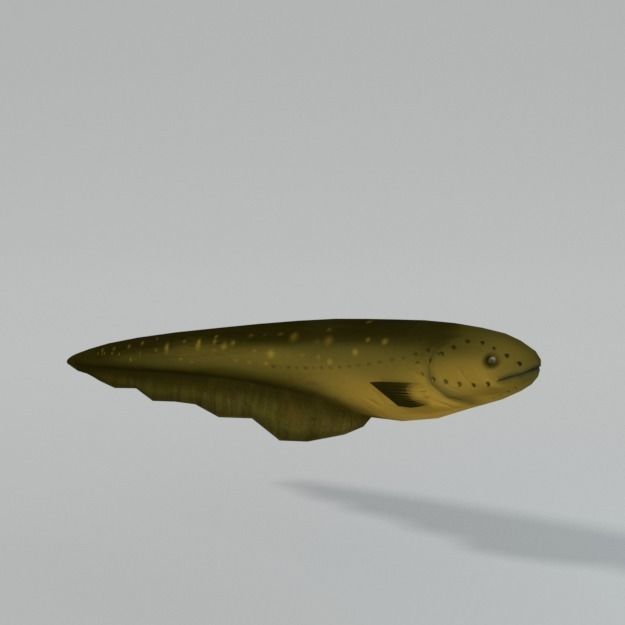 Electric Eel Low-poly 3D model_0