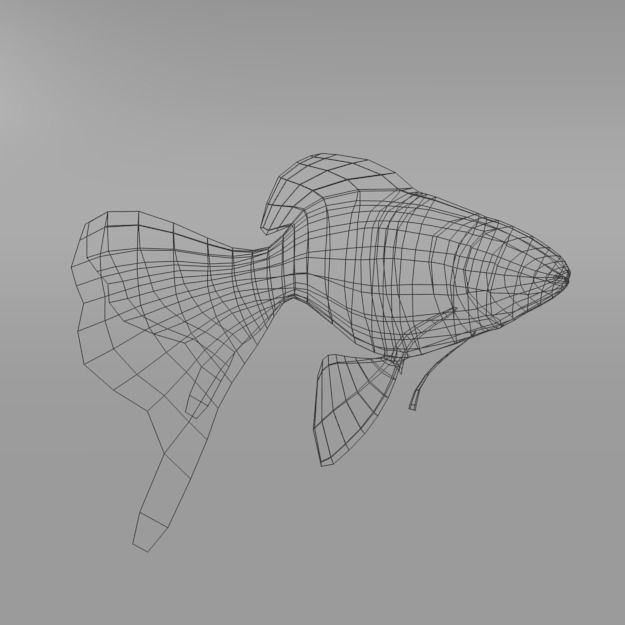 Goldfish Low-poly 3D model_7