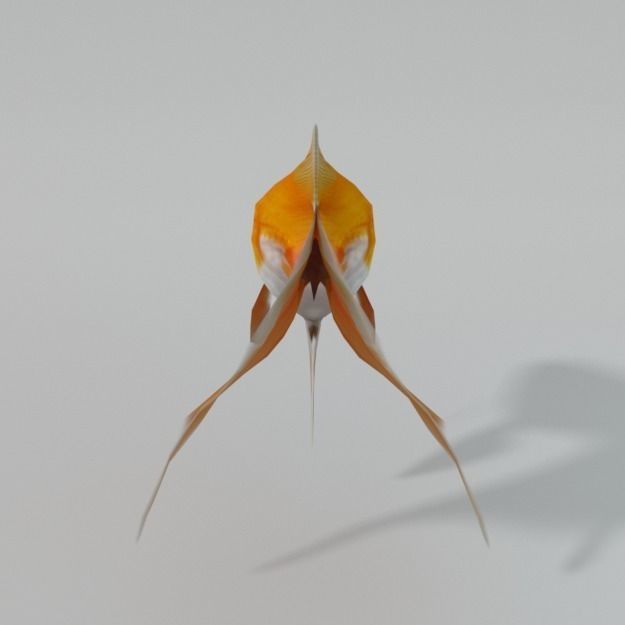 Goldfish Low-poly 3D model_3