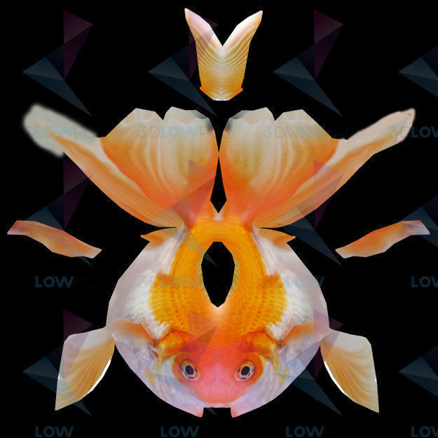 Goldfish Low-poly 3D model_8