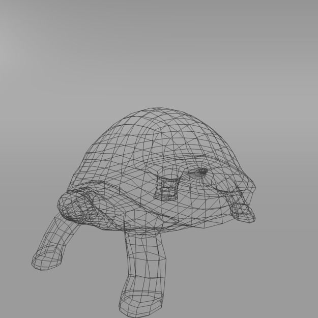 Tortoise turtle Low-poly 3D model_5