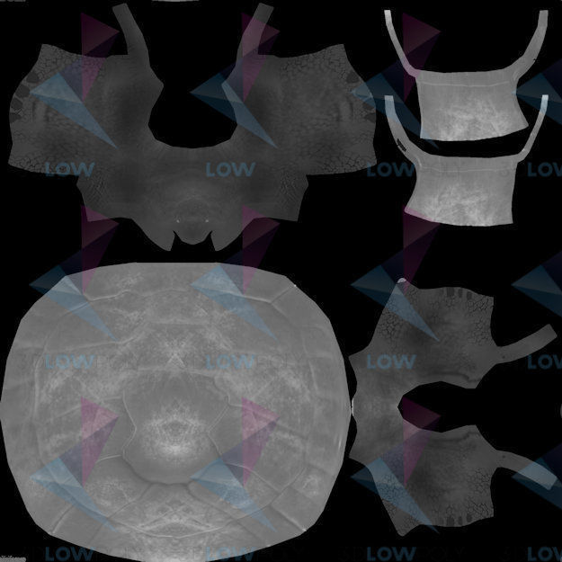 Tortoise turtle Low-poly 3D model_8