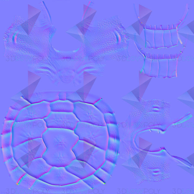Tortoise turtle Low-poly 3D model_10