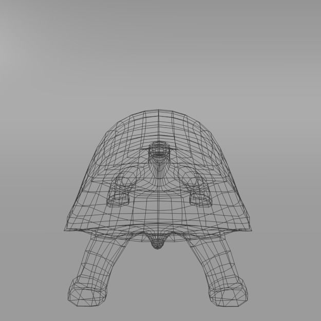 Tortoise turtle Low-poly 3D model_6