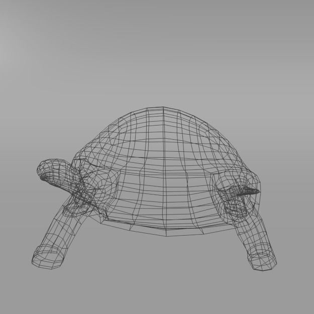 Tortoise turtle Low-poly 3D model_7