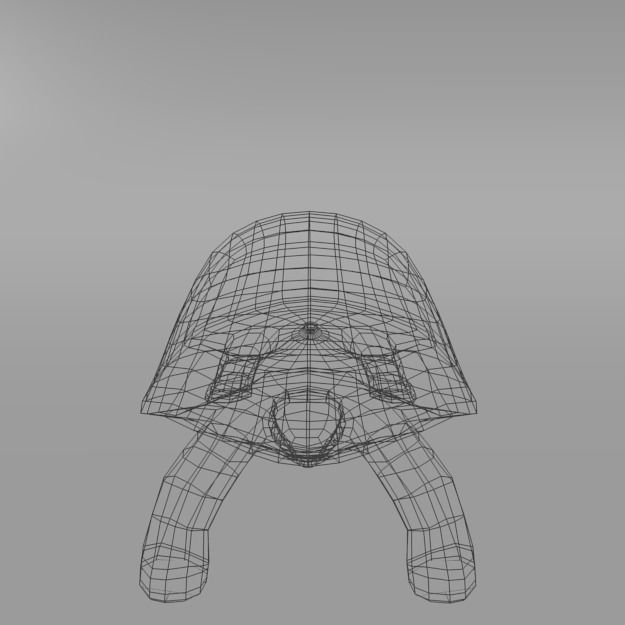 Tortoise turtle Low-poly 3D model_4