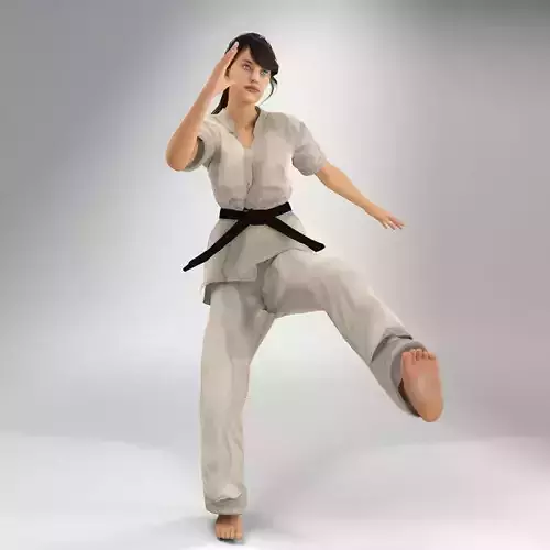 Karate Lady Lite Rig 3D model