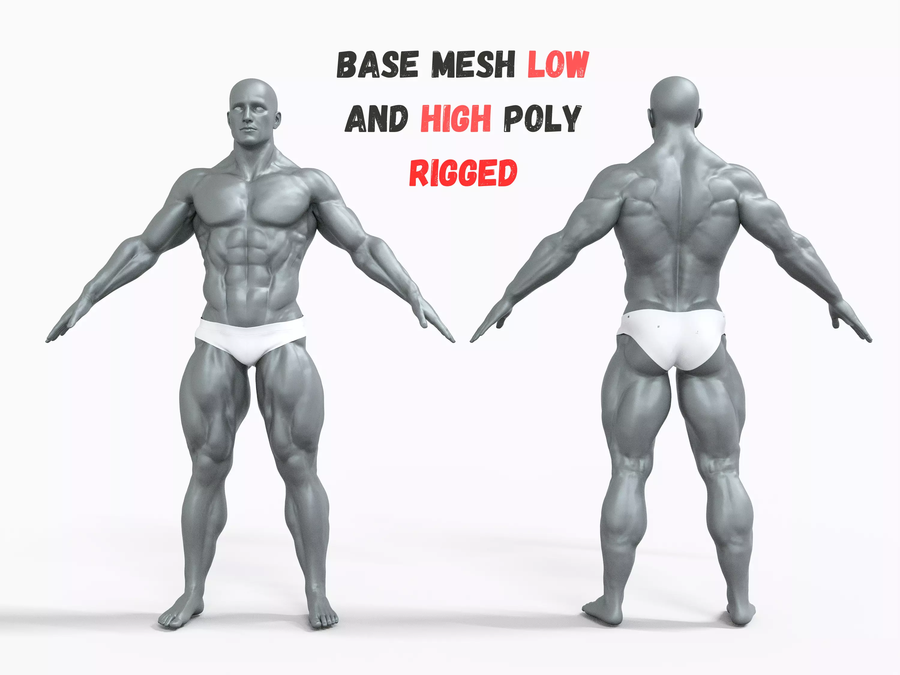 Base Mesh - BodyBuilder High Poly And Low Poly Rigged Low-poly 3D model
