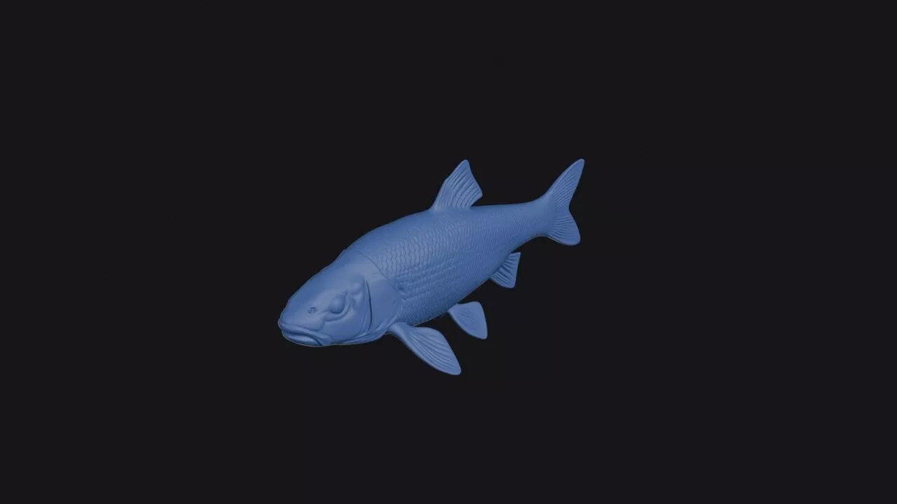 Fallfish 3D print model