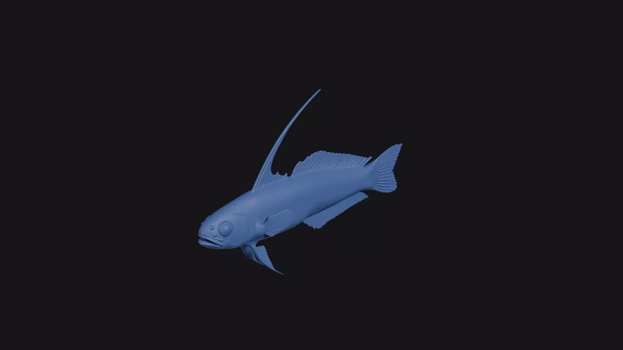 Elegant Firefish 3D print model