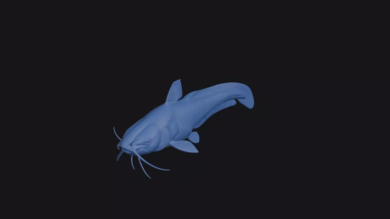 Eel Tailed Catfish 3D print model