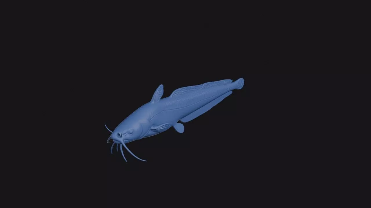 Eel Catfish 3D print model