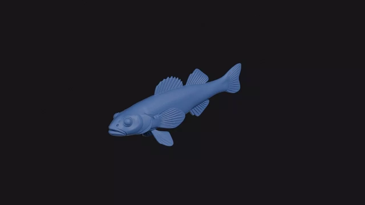 Eastern Sand Darter 3D print model