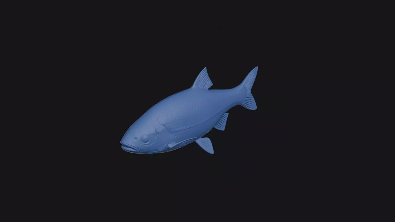 Dnieper Chub 3D print model