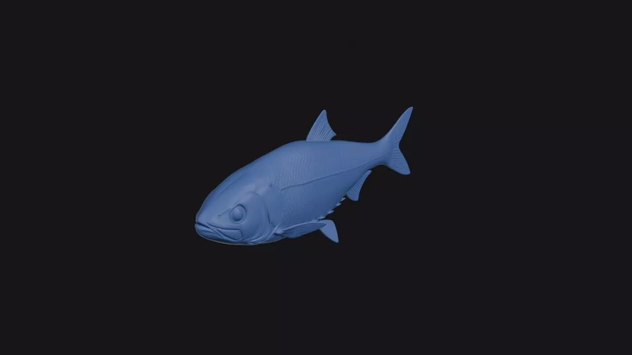 Denticle Herring 3D print model