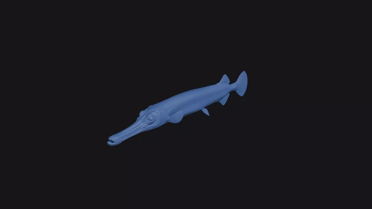 Chinese Trumpetfish 3D print model
