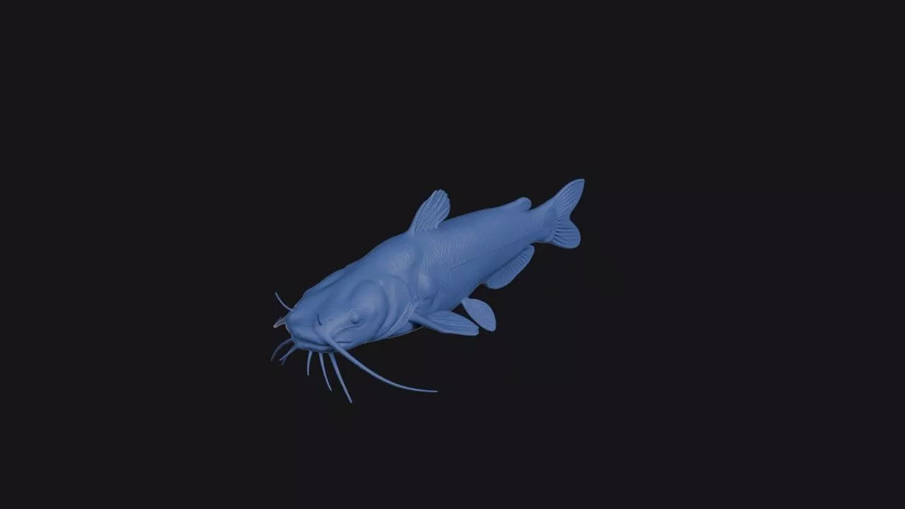Chiapas Catfish 3D print model
