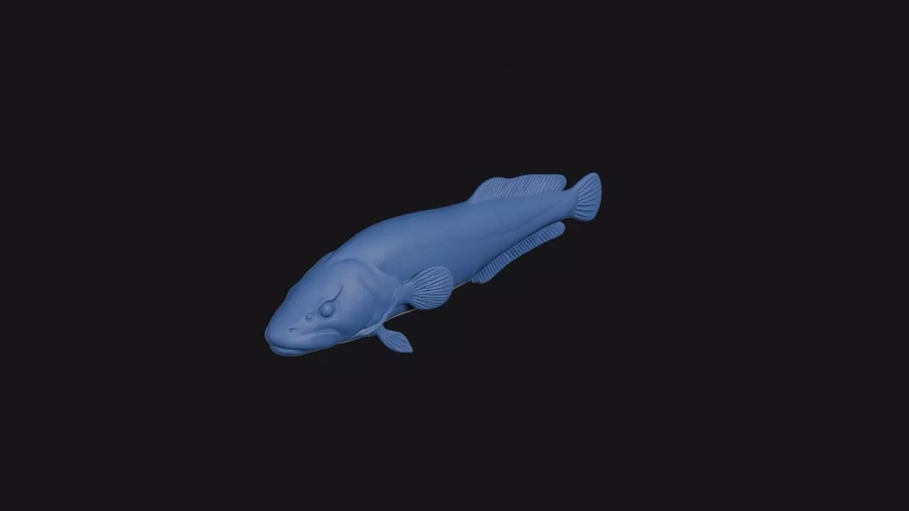 Blunt Snouted Clingfish 3D print model
