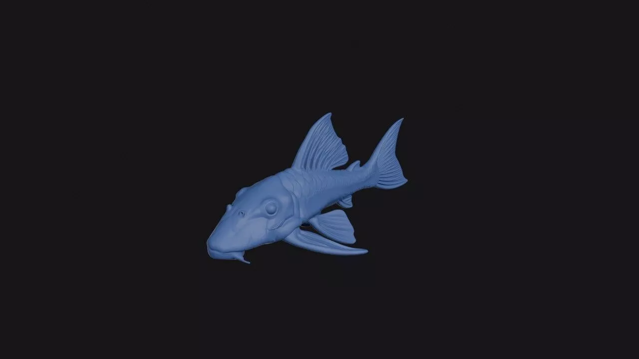 Blue Eyed Plec 3D print model