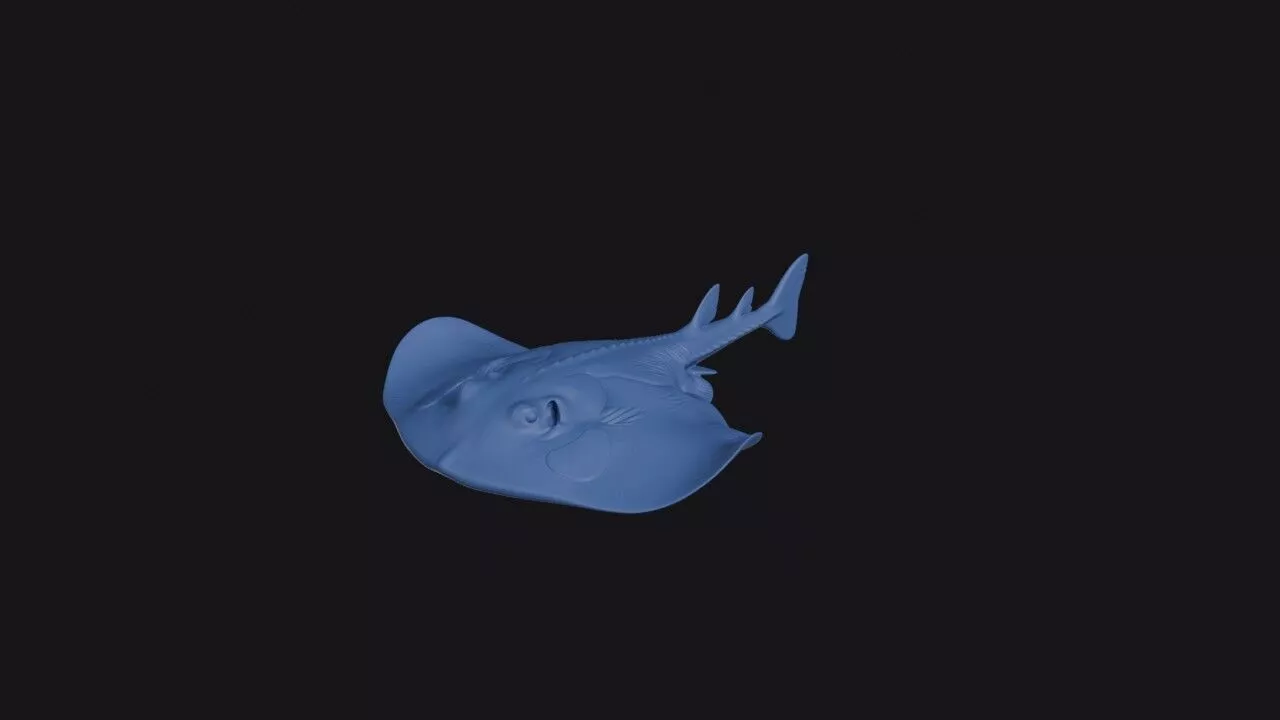 Blind Electric Ray 3D print model