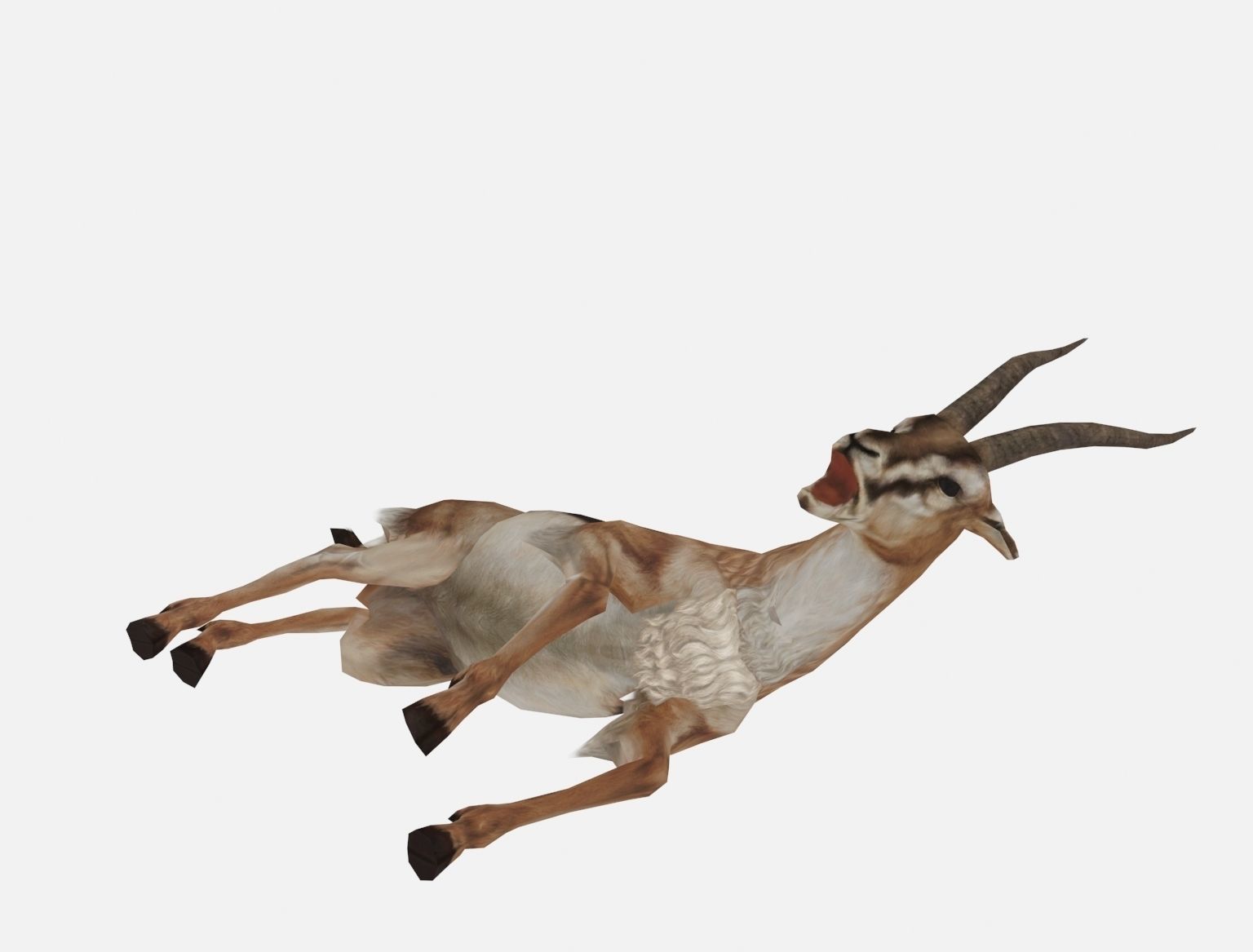 antelope goat caprine sheep lamb deer animation Low-poly 3D model_7