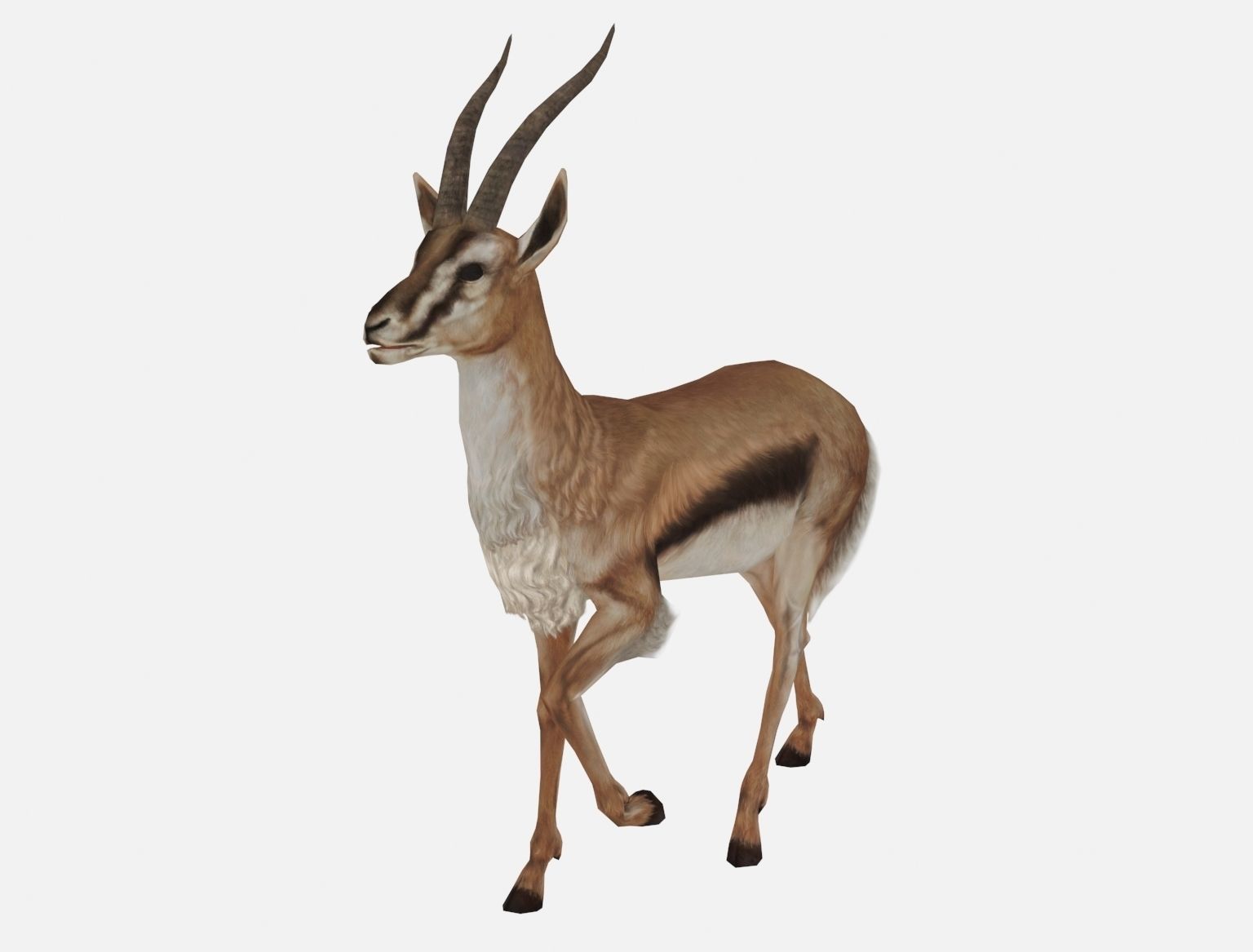 antelope goat caprine sheep lamb deer animation Low-poly 3D model_4