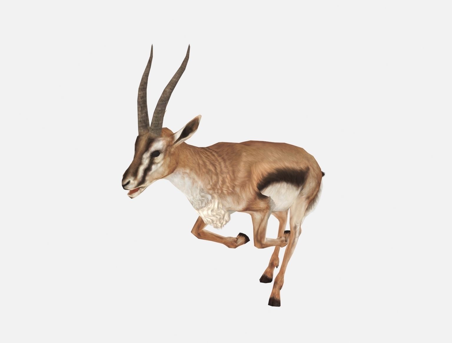 antelope goat caprine sheep lamb deer animation Low-poly 3D model_9