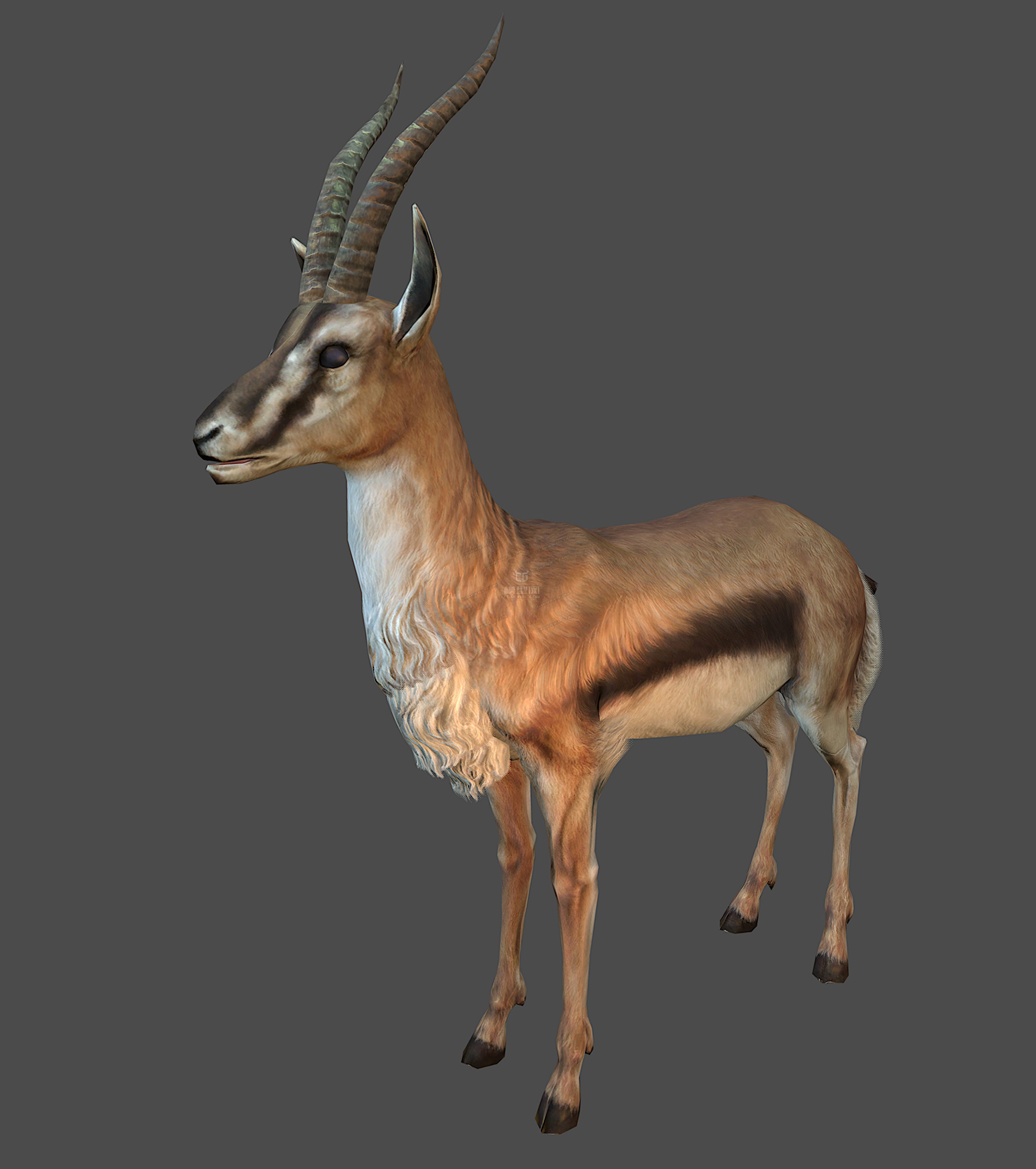 antelope goat caprine sheep lamb deer animation Low-poly 3D model_3