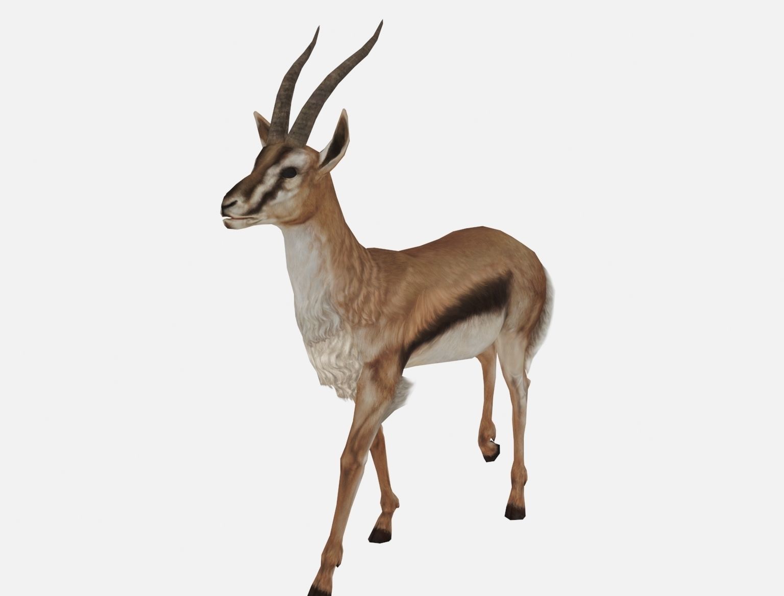 antelope goat caprine sheep lamb deer animation Low-poly 3D model_5