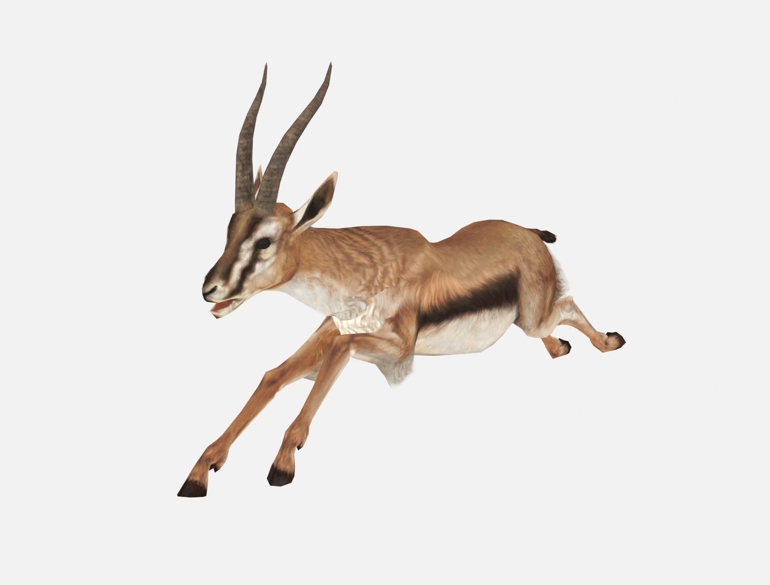 antelope goat caprine sheep lamb deer animation Low-poly 3D model_10