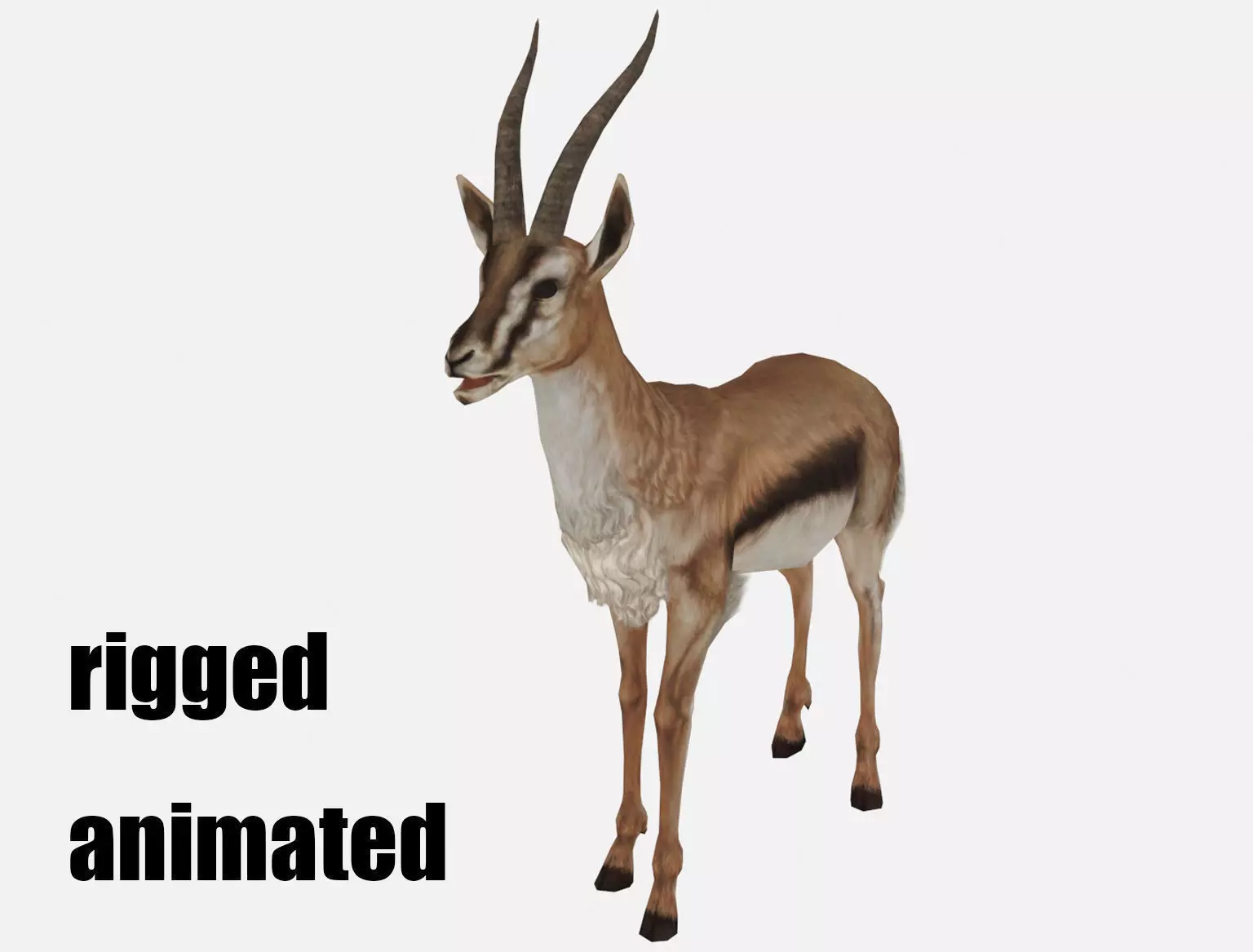 antelope goat caprine sheep lamb deer animation Low-poly 3D model_0